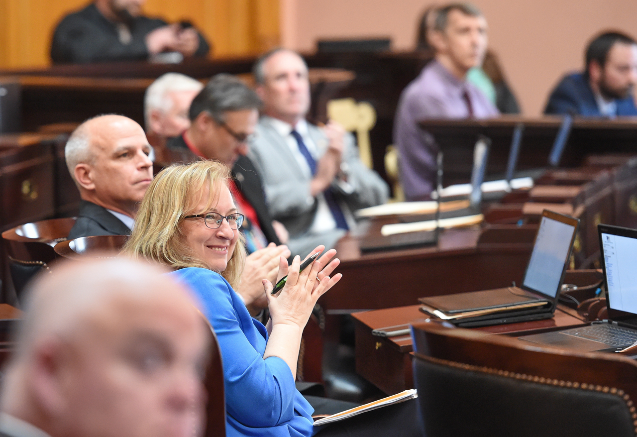 Rep. Lanese during House Session.