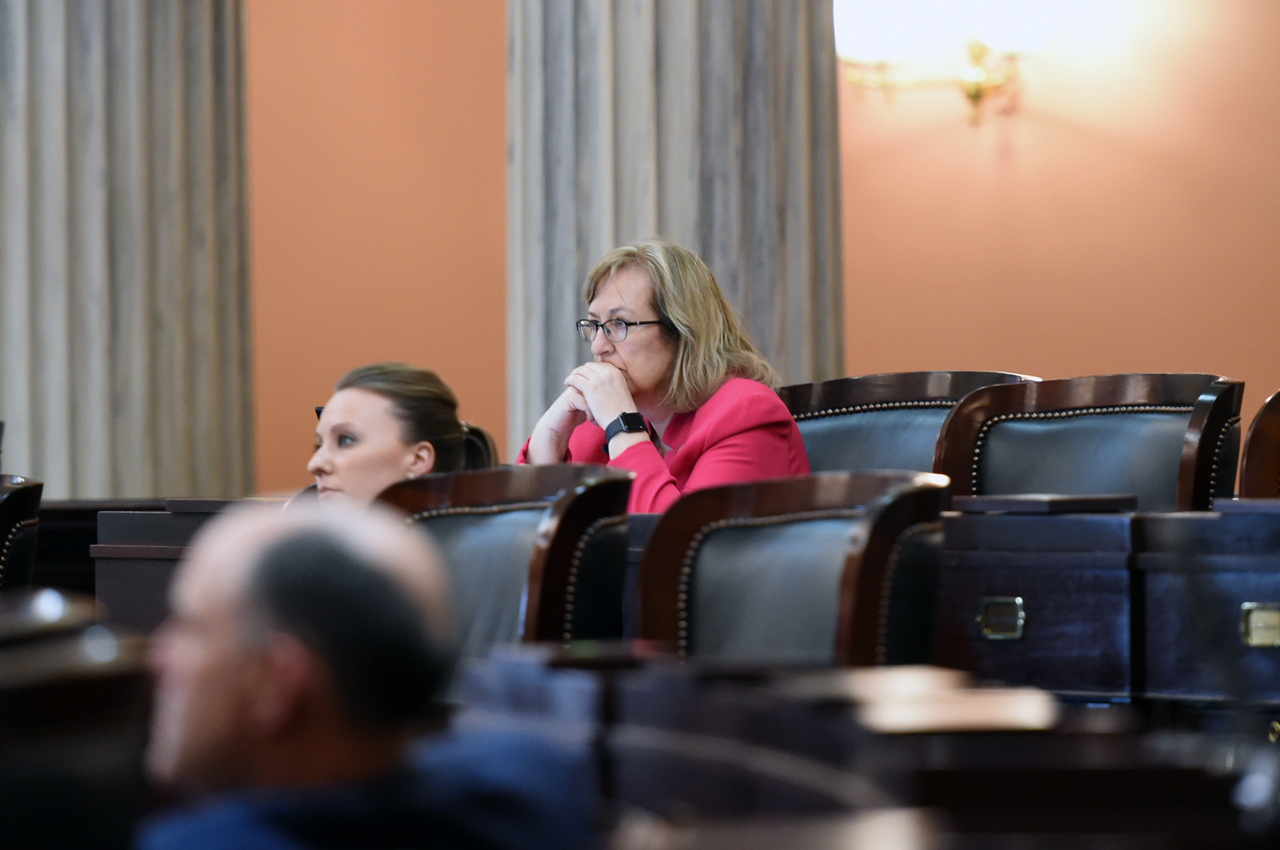Rep. Lanese participates during a socially-distanced session.