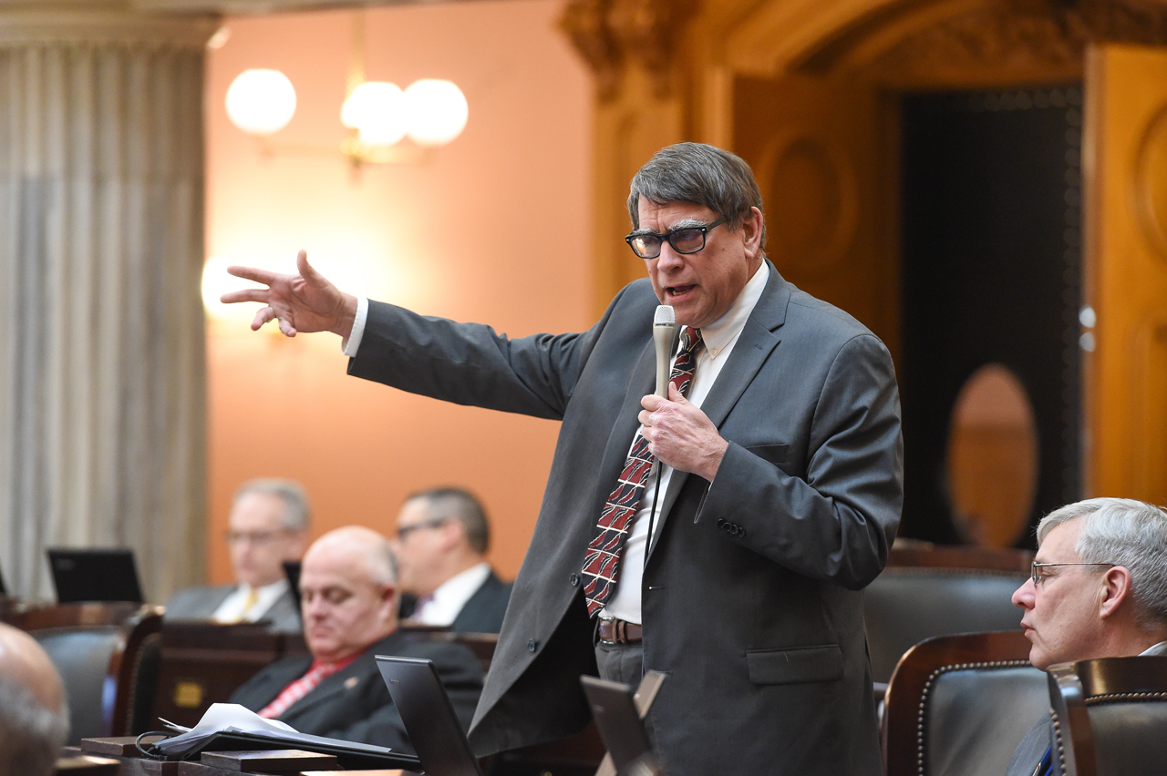 Rep. Seitz speaks during House Session March 21, 2018.