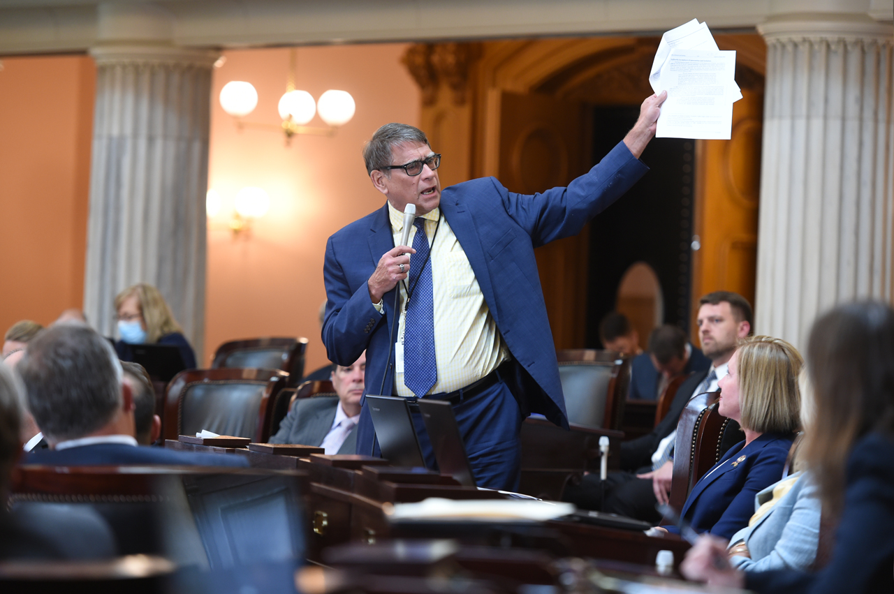 Rep. Seitz at House Session on June 10, 2020