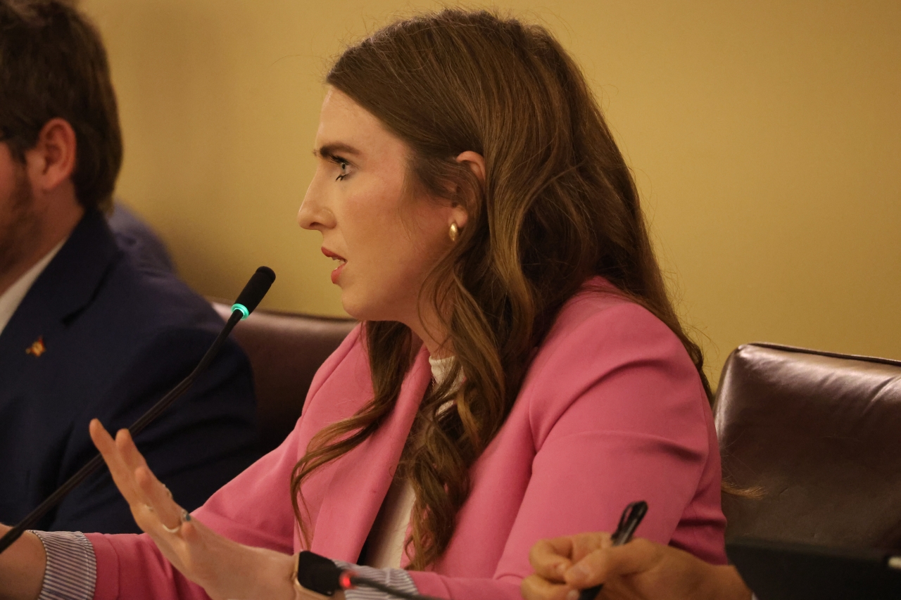 Rep. Sweeney asks questions during budget testimony as the Ranking Member of the House Finance Committee