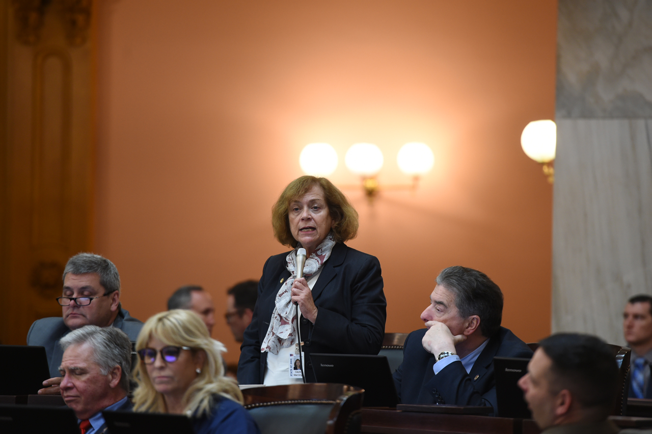 Rep. Manning speaks on the House floor during session
