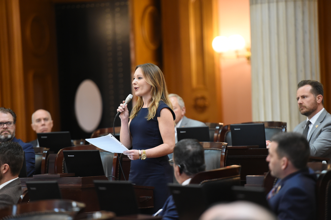 Prior to a vote on the State Operating Budget (House Bill 166), Representative Manchester shares the impact of the opioid epidemic on Ohio's foster care system with her colleagues.