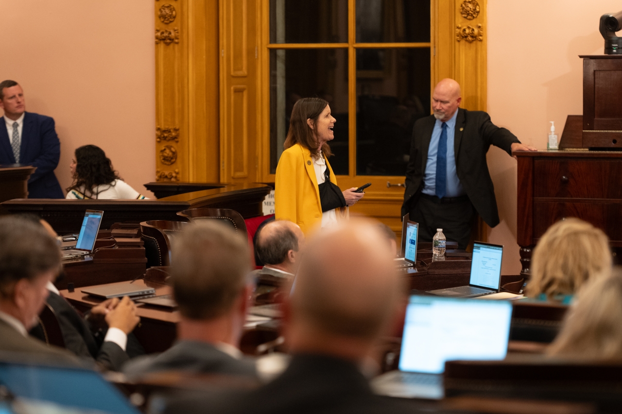 Rep. Richardson speaks on the House floor during session