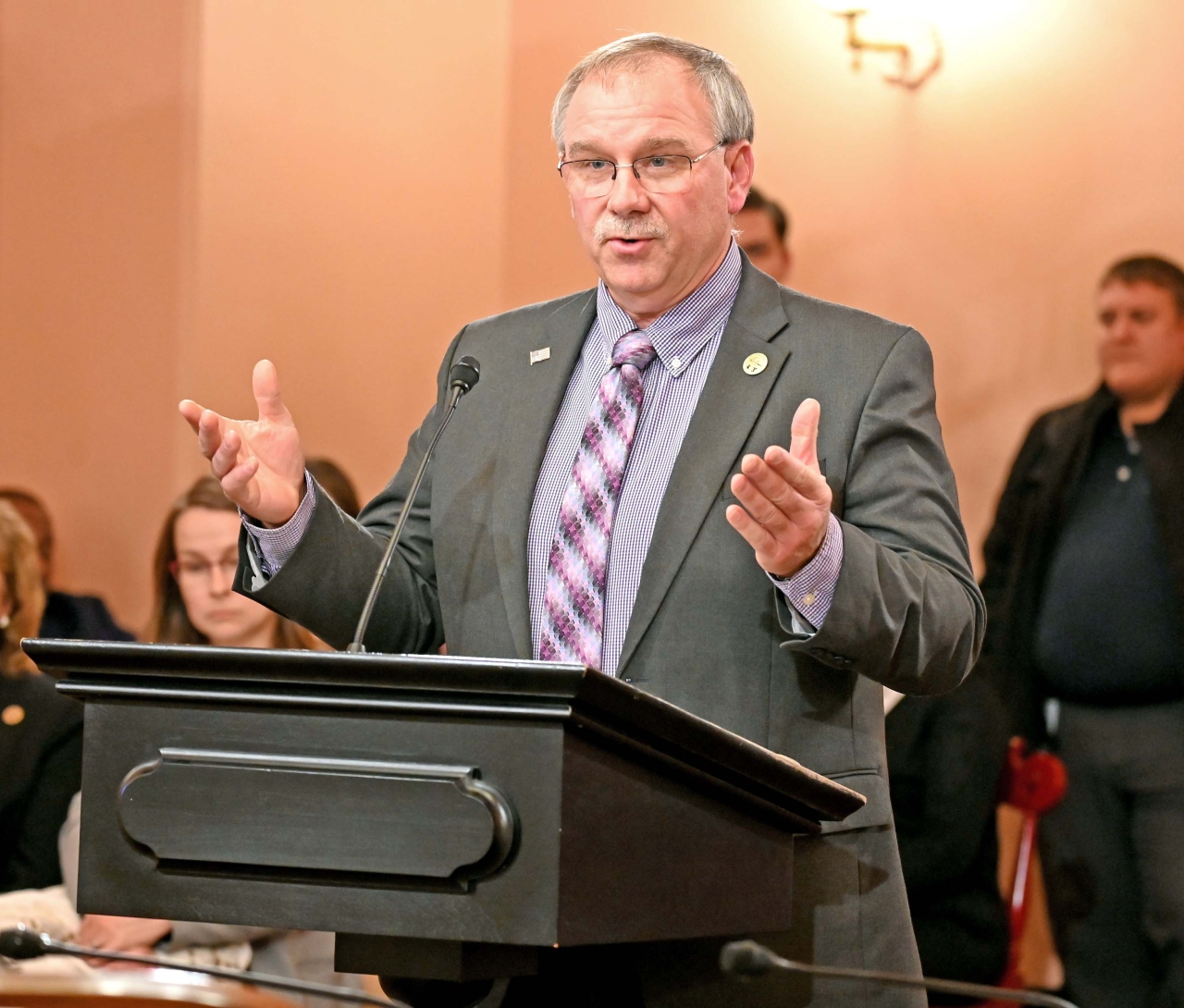 Rep. Jones testifies during Primary and Secondary Education Committee.