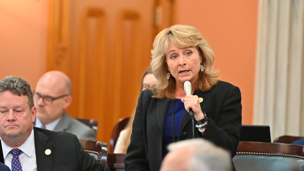 Rep. Ray speaks during House session.