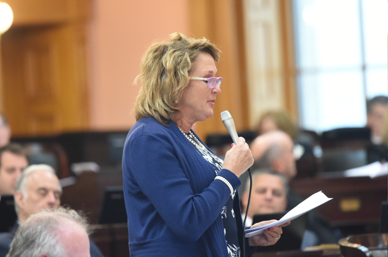 Rep. Pavliga speaks on the House floor for her addition to House Bill 291, which designates a portion of Interstate Route 76 in Portage County as the "CPL Benjamin C. Dillon Memorial Highway."
