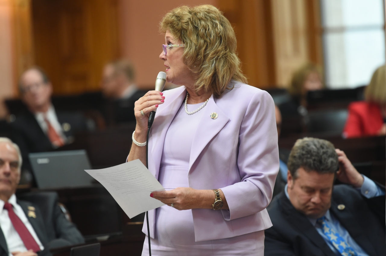 Rep. Pavliga speaks to her legislation, House Bill 193, which requires Schedule II prescriptions to be done electronically. It seeks to address the opioid crisis and was passed by the Ohio House.