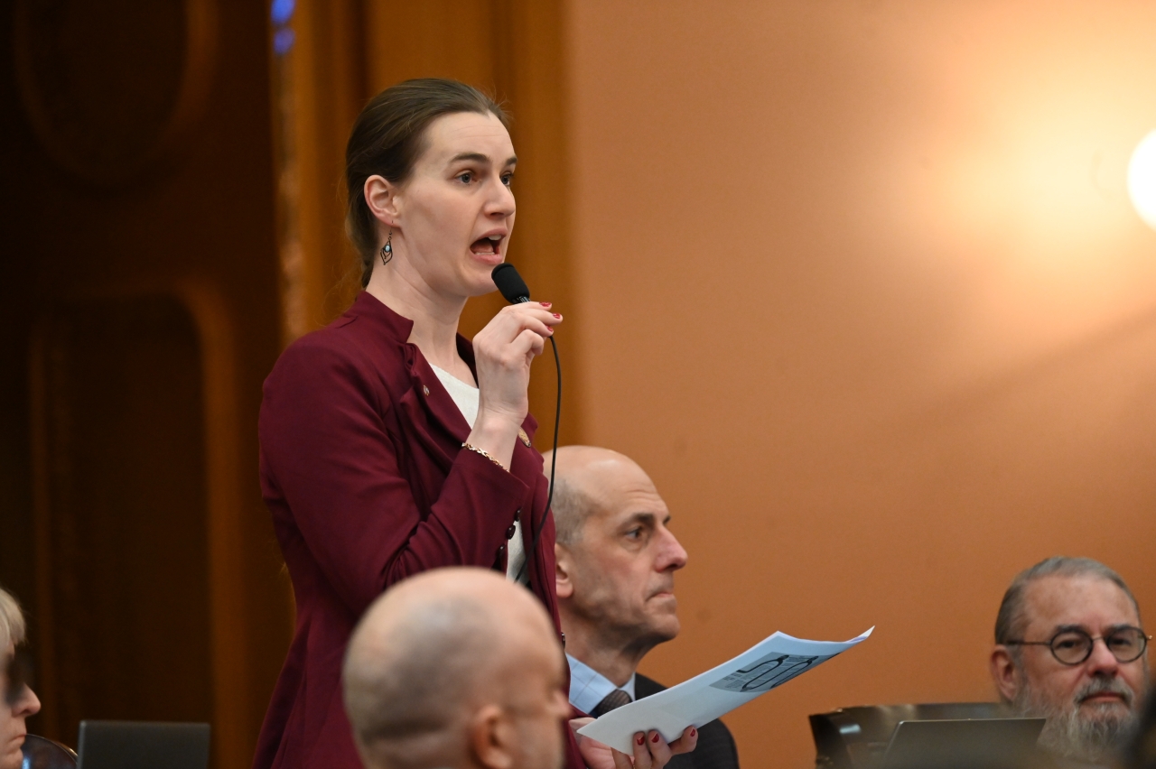 Representative Fowler Arthur speaks during House Session