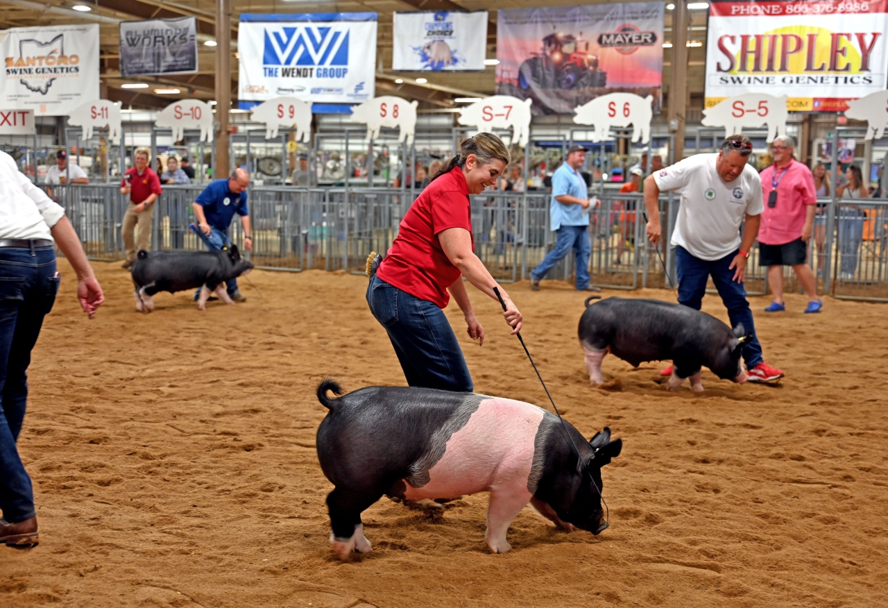 Representative Lear participates in the first-annual Pork-Off at the Ohio State Fair.