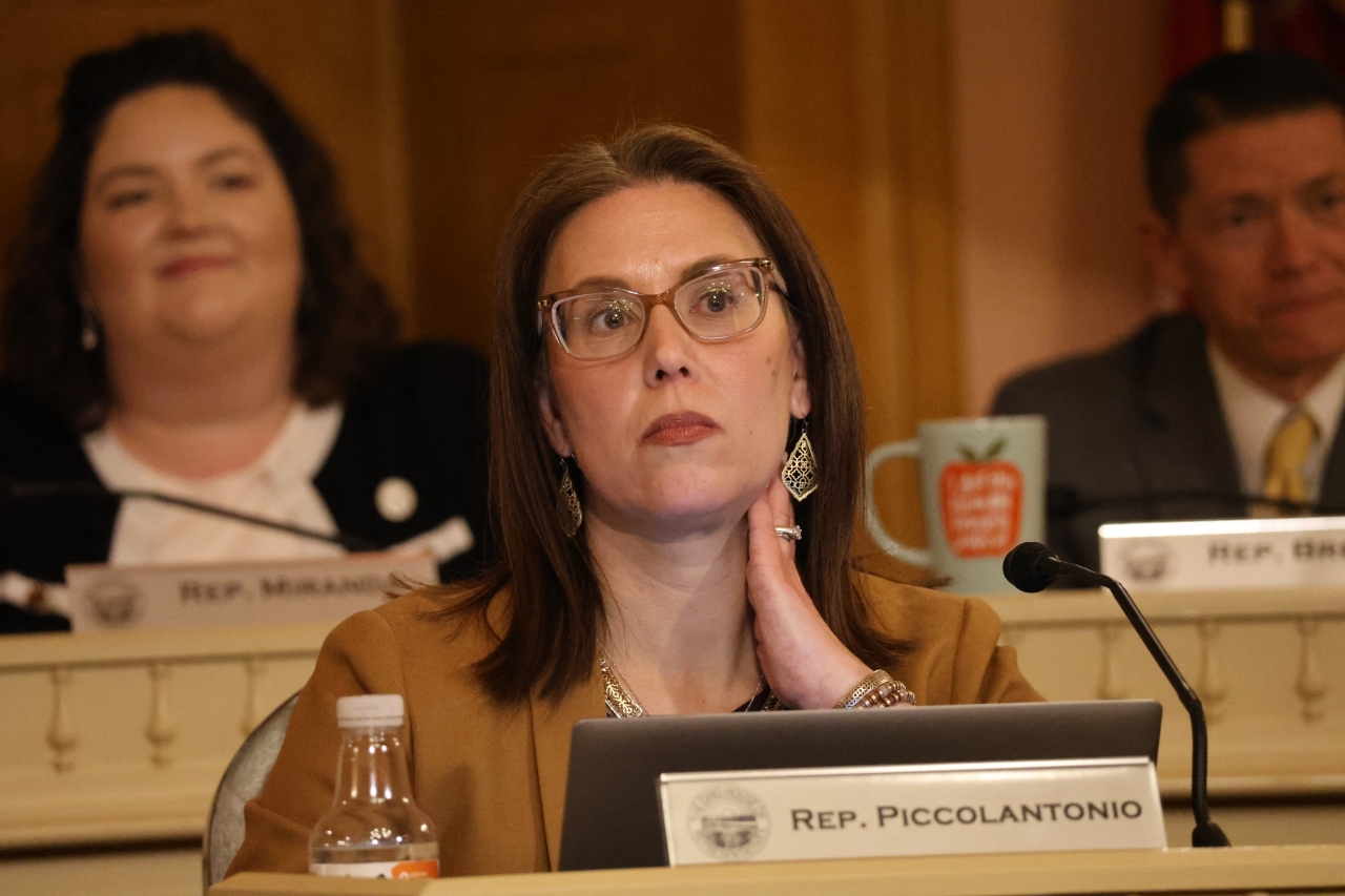 Rep. Piccolantonio in Comittee