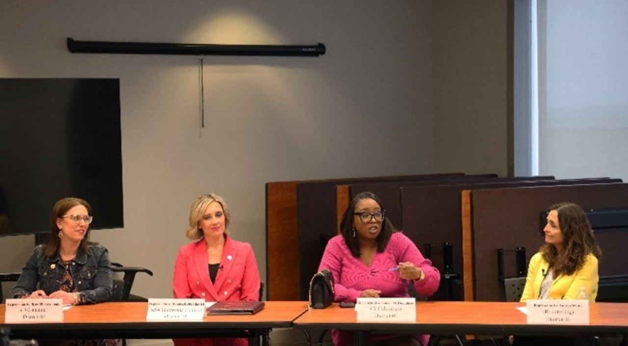 Rep. Brown Piccolantonio Serves on Women's History Month Panel