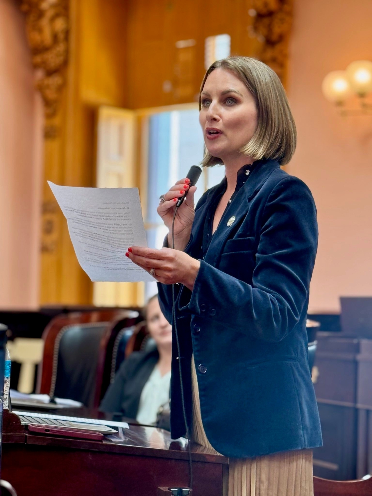 Rep. Lett speaking on the House floor