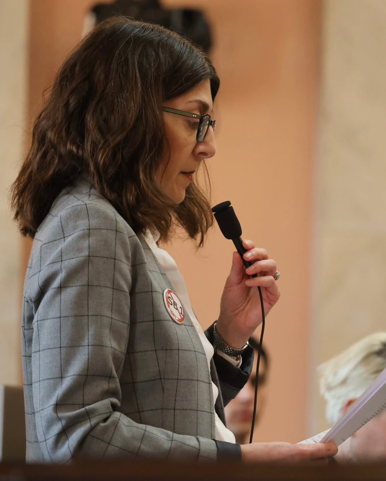 Rep Brownlee at Statehouse rejecting SB 1