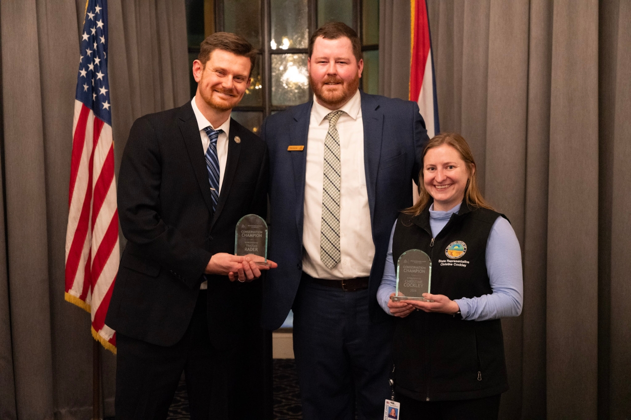 Press Release Thumbnail