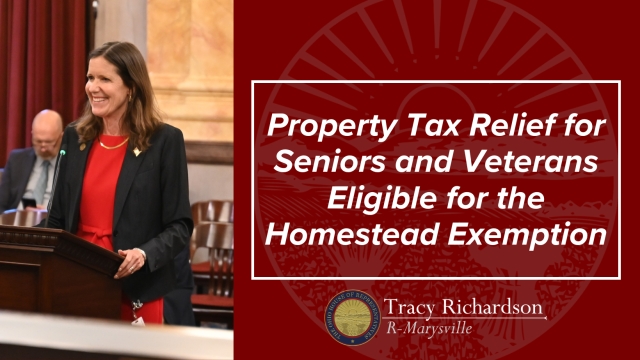 Rep. Richardson speaking on the floor.