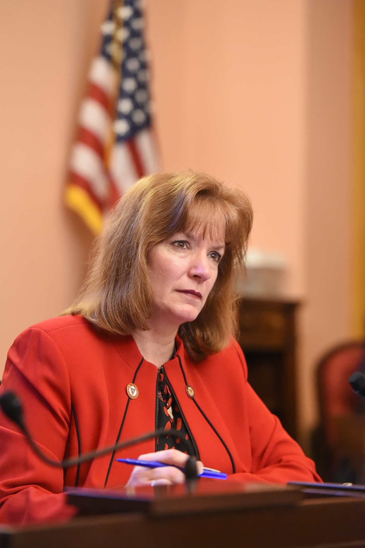 Testimony Given in Support of Suicide Education Bills